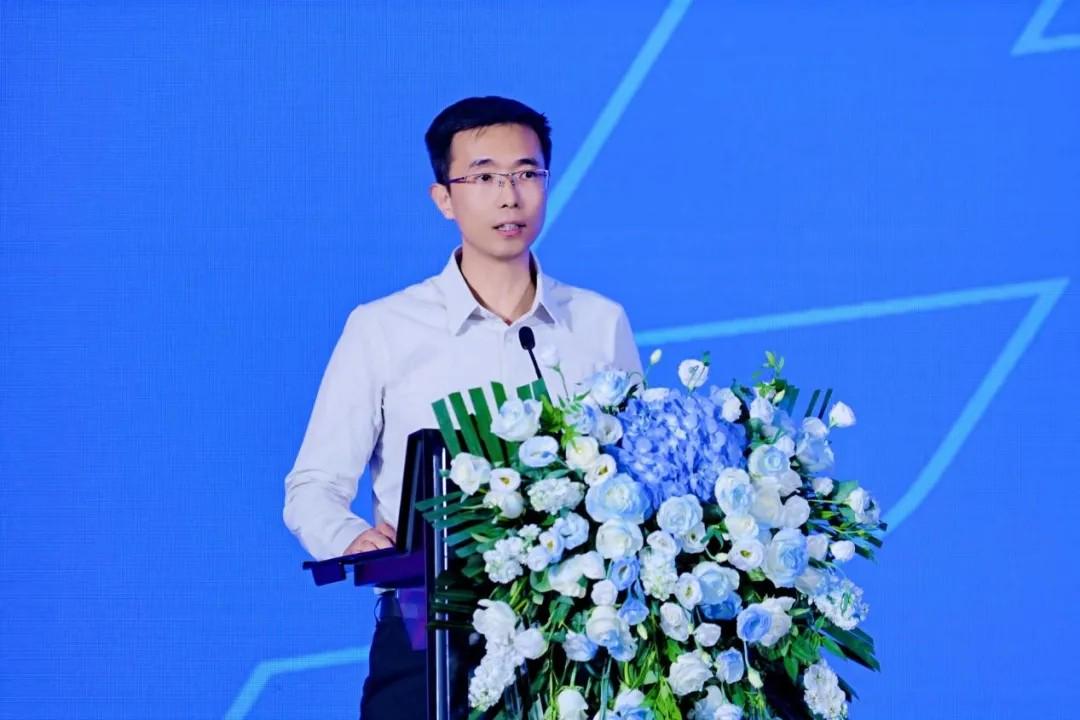 发展模式