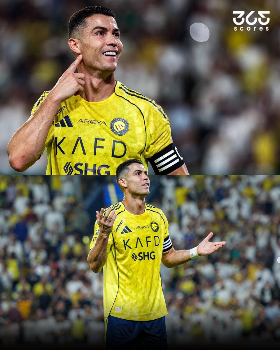 一名记者向, 也是为了庆 一名记者向, 也是为了庆